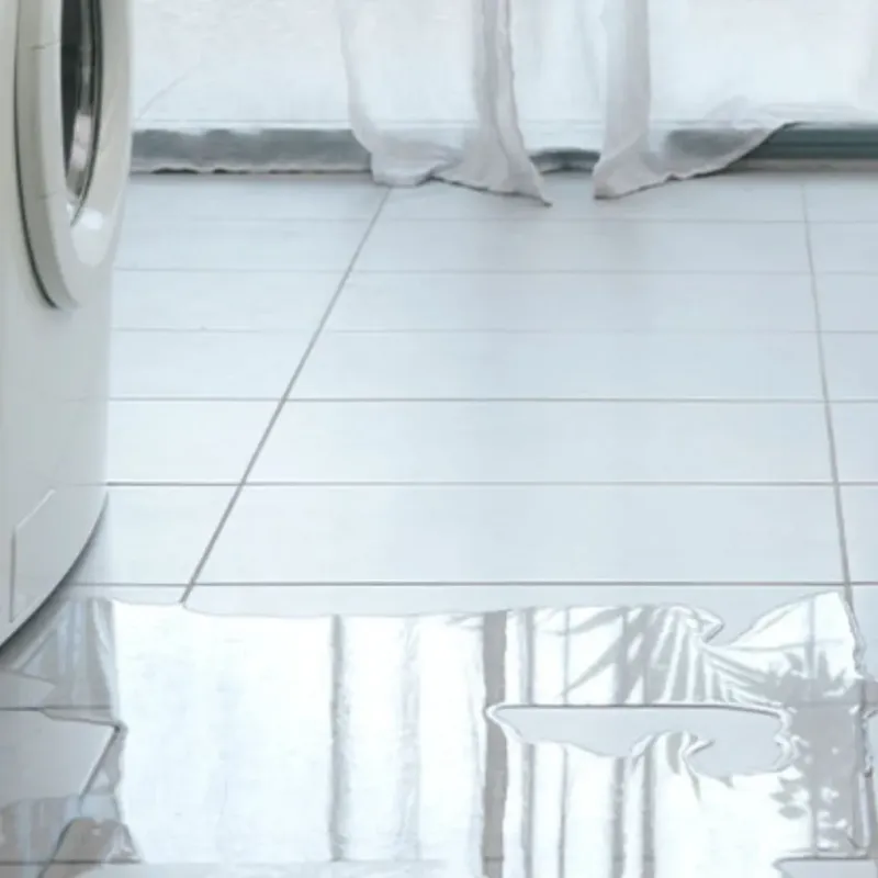 Appliance Leak Cleanup in Melvindale, MI
