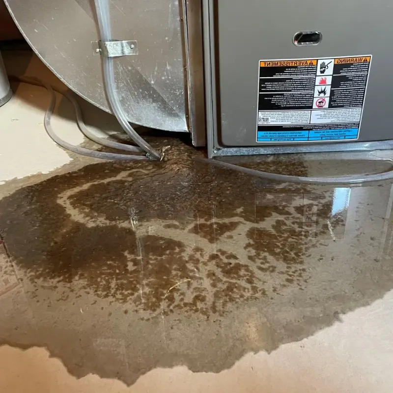 Pipe Burst and Leak Restoration in Melvindale, MI